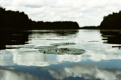 Dragonfly - a Photographic Art Artowrk by Irina Levental